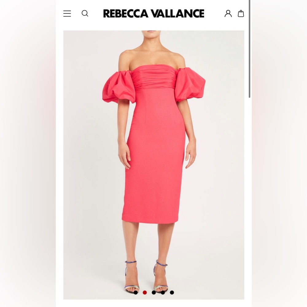 NWT Rebecca Vallance Caitlin dress Size 4